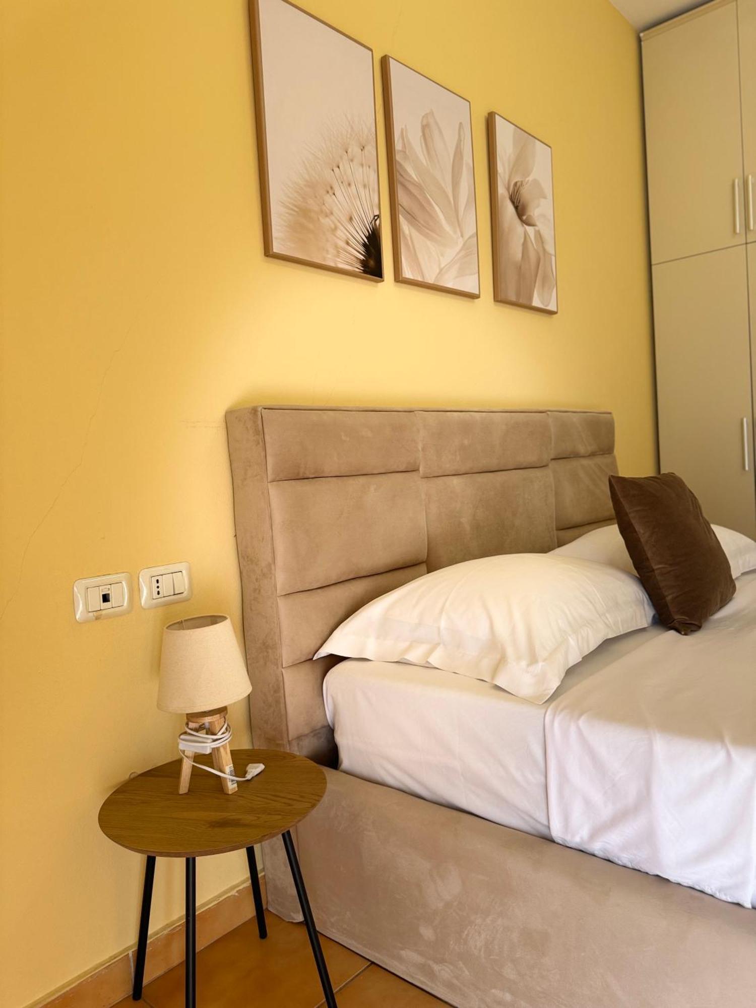 Cozy In Center * Tirana